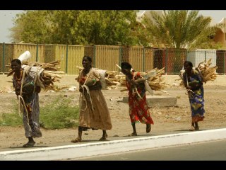 Com es senten ells ?