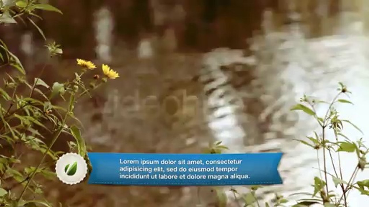 Ribbon Lower third - After Effects Template