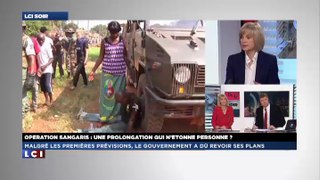 Interview d'Elisabeth Guigou Centrafrique LCI 25-02-14 1/2