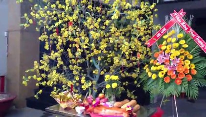 dịch vụ múa lân sư rồng tại tphcm 0902.687898