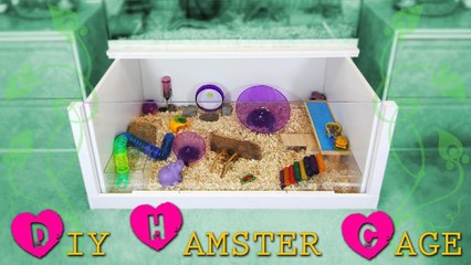 How to build a DIY hamster cage! *Instructions* - video Dailymotion