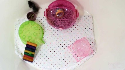 Q&A Session with Yodel: Your Questions Answered 🐹