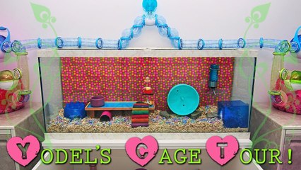 Yodel's Updated Cage Tour! - Sept. 2013