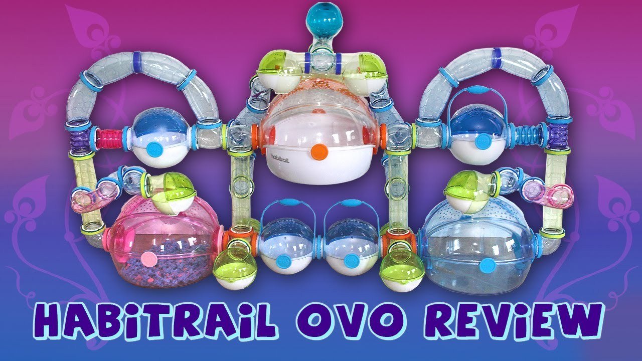 Habitrail OVO Review