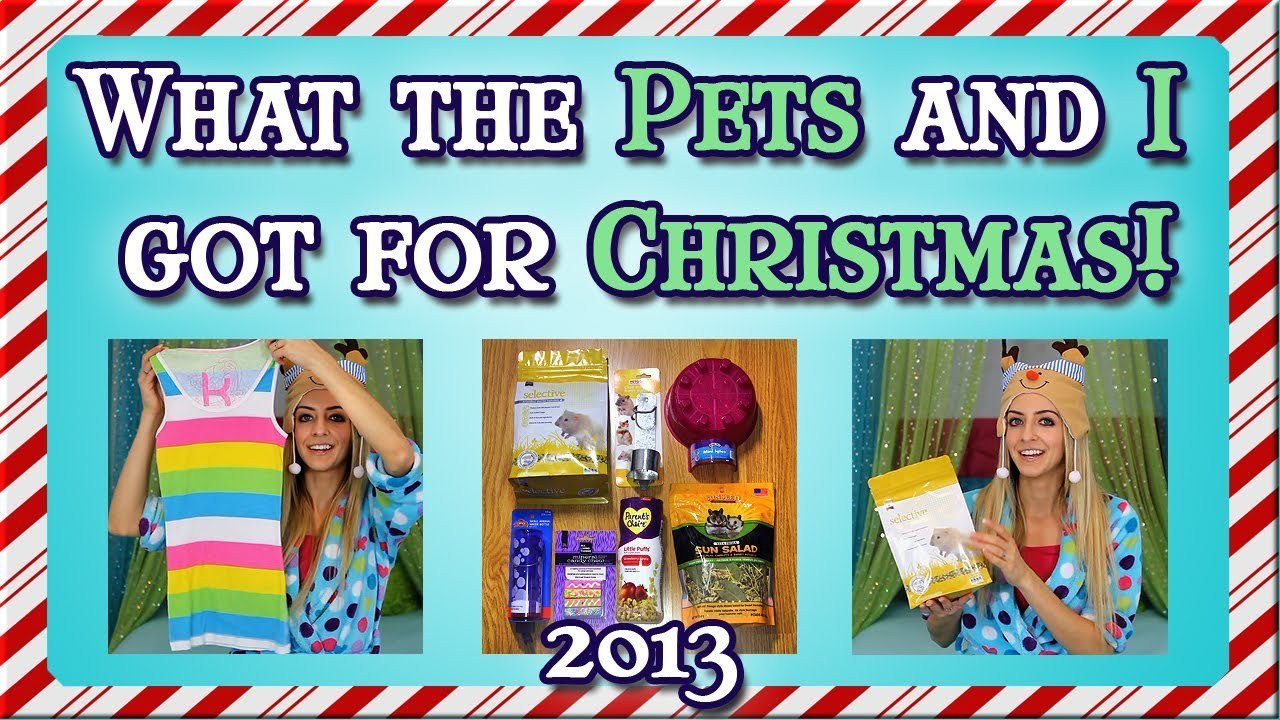 ❄ What the pets (and I) got for Christmas 2013 ❄