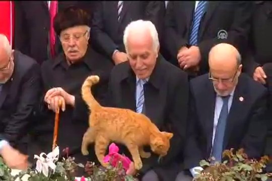 Erbakan'ı anma törenine davetsiz misafir