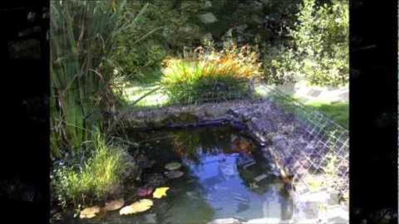 My Countryside and Coastal Photography Edit 2011 Summer