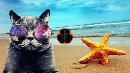Graphics Package - Psychedelic Opener - After Effects Template