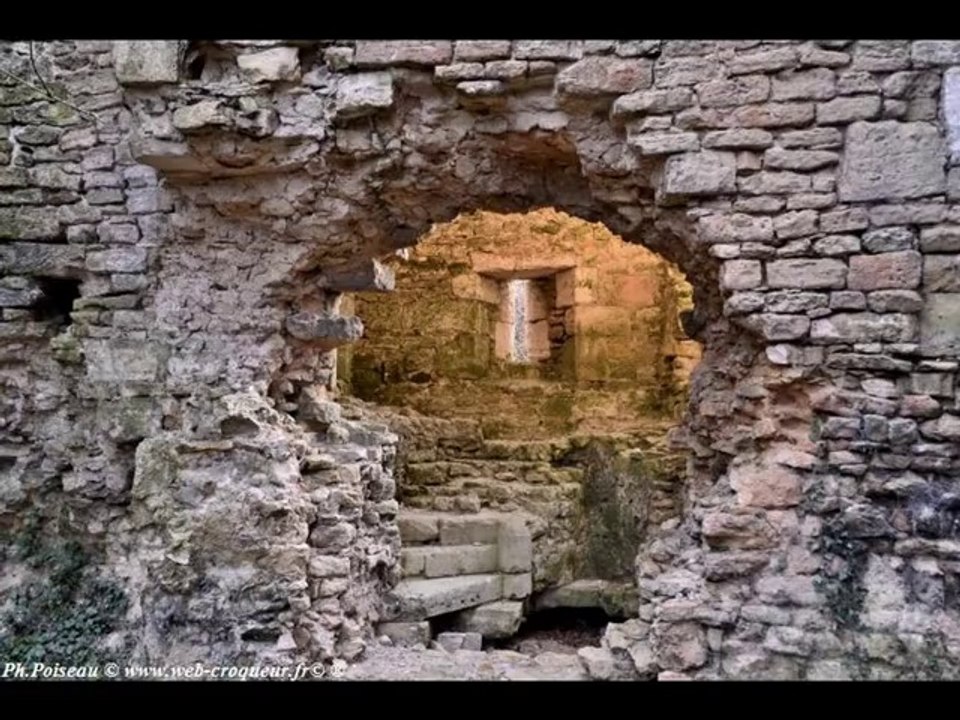 Château de Passy les Tours Nièvre