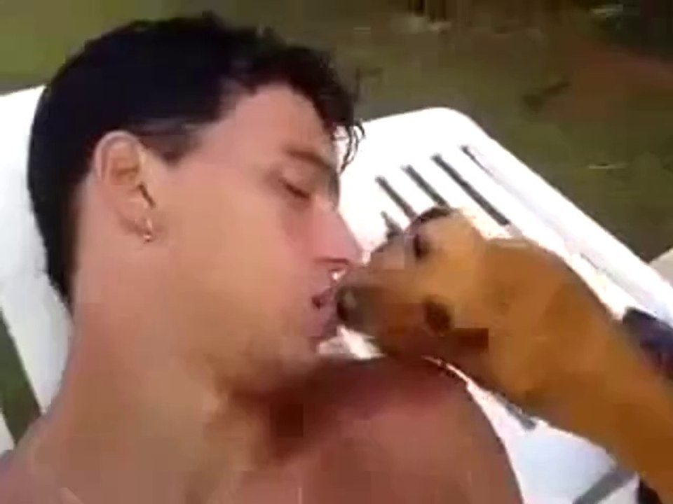 Im Schlaf von einem Hund geküsst werden
