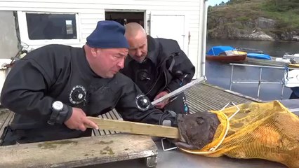 In Russland fangen die Fische dich!