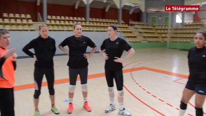 Vannes Volley-ball. L'expérience de Michel Genson