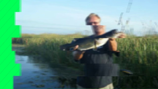 Florida Fishing Guides