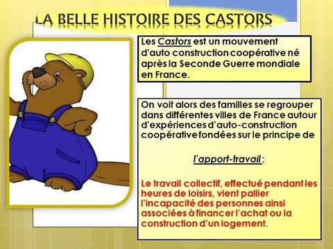 L'histoire des Castors en France et surtout!!! à Carcassonne