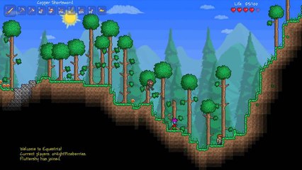 Terraria: Endless Beginnings.