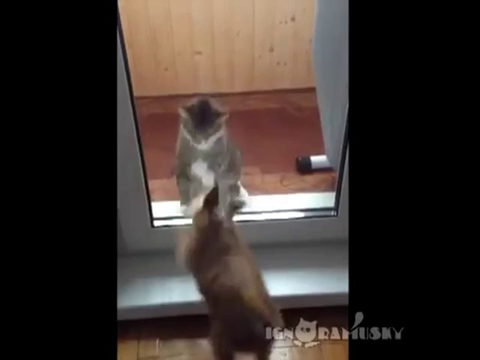 Jetzt lass mich schon rein!