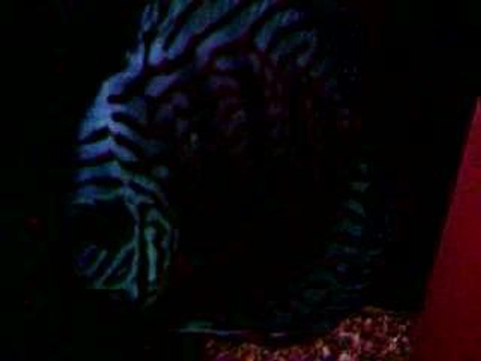 Photo 012