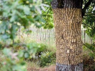 C'est @ Anglet Mars 2014