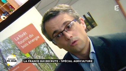 Le bois, une énergie compétitive qui séduit le marché du chauffage collectif