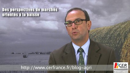 La production mondiale du maïs en forte hausse par Thierry Lemaître