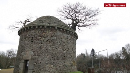 Bégard (22). L'arbre du colombier vise un podium européen