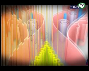 life Ki Subah Part 2 Guest : Muneeb Butt (Actor, Model)