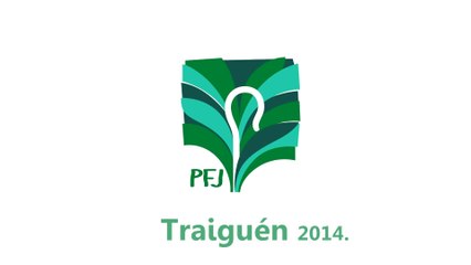 PFJ Traiguén "Show de variedades y Programa musical"
