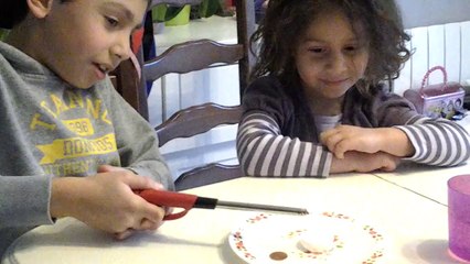 On est pas que des cobayes experiences