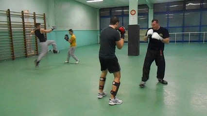 Erwin, Maxime et les autres