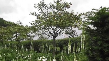 KRISM AND MANGAMINX IN ENGLAND: Episode Two