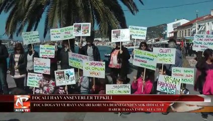 Foçalı hayvan severler'den Foça Belediyesi'ne yönelik şok iddia...