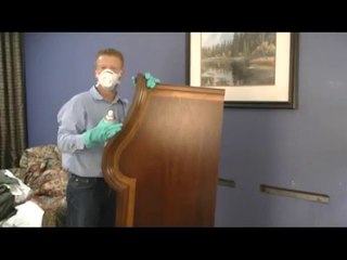 ePest Solutions: Bed Bug Treatment (Headboard)