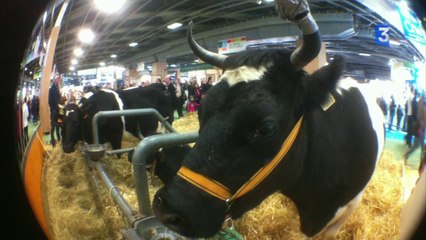 SIA 2014 : Tous à poils