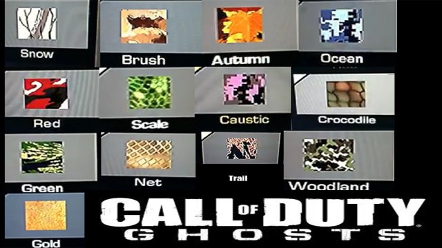 Call of Duty Ghosts - All New Camos + All Camo Names