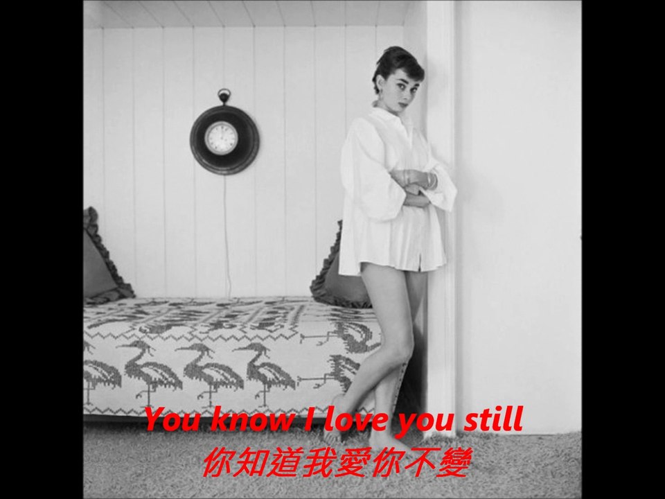 I Will 我願意