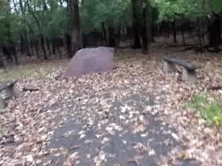 GHOSTS Robinson Woods, Norridge, Il