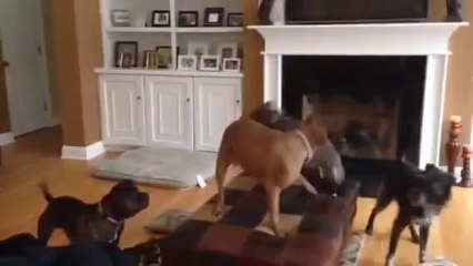 Ne içtin Yavrum Sen - takozovic.com