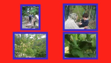 Türlü Türlü.... Ara Sıra..