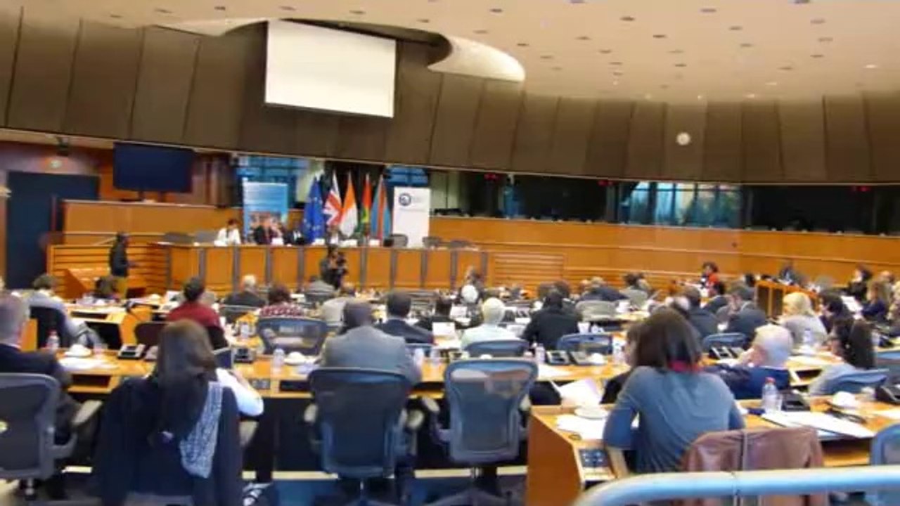 Europe-RDC-Congo: Discours du Ministre Tshibanda au panel de haut niveau sur la protection des Terres.