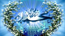 14- Kur'an peygamber delili (Ahirete İman)