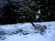 Arwen et la neige Landi hiver 2005