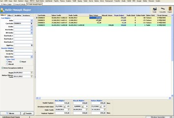 WOLVOX ERP Valör Hesaplı Rapor