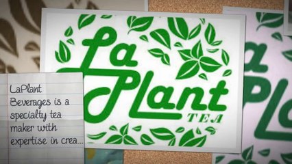 Awesome Green Tea Brands!