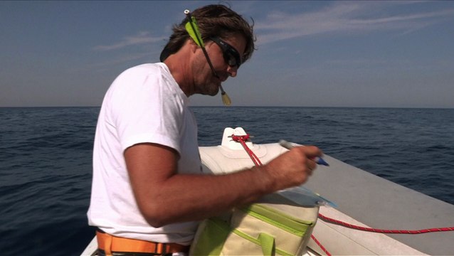 Extrait Méditerranée, sur la piste des cétacés