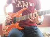 TDG - Animal I've Become ( Guitar Cover By Zübeyir GLMZ)