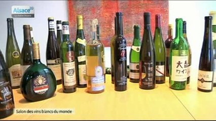 Le salon des vins blancs du monde à Strasbourg
