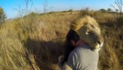 Lion Hug