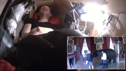 Comment survivre dans le ventre d'un ours ?