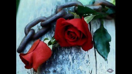 HAYAT BiR KAYDIRAK GiBiDiR CANIM