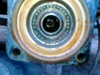 Transmisie spate Dacia Papuc